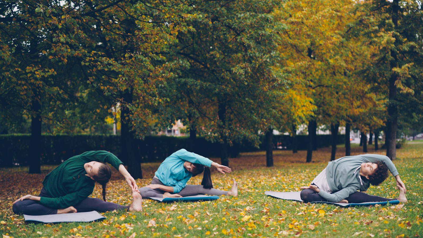Een groep rekt zich uit op matjes in een herfstpark